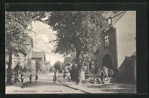 AK Kellinghusen, Häuser an der Lehmbergstrasse