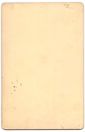 Fotografie Nagle, Oswego, N. Y., 162 West First Street, Portrait junge Dame in hübscher Kleidung