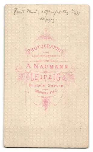 Fotografie A. Naumann, Leipzig, Dorotheen-Strasse 12, Portrait junger Mann im Anzug mit Fliege