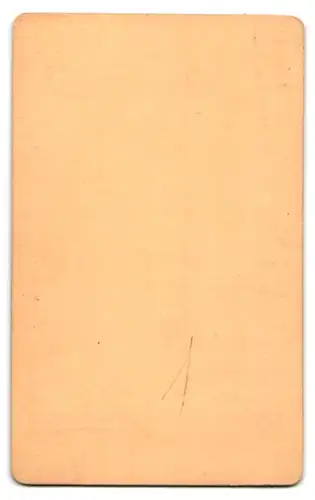 Fotografie F. A. Wilde, Halberstadt, Breite Weg 15, Portrait modisch gekleideter Herr mit Backenbart