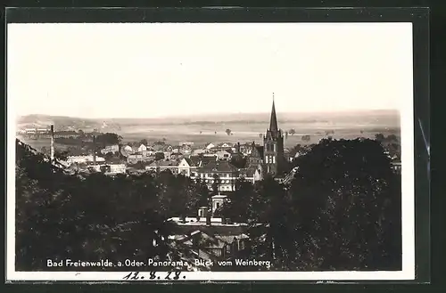 AK Bad Freienwalde a. O., Panoramablick vom Weinberg