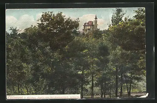 AK Lütjensee i. Holstein, Blick auf ein Schloss