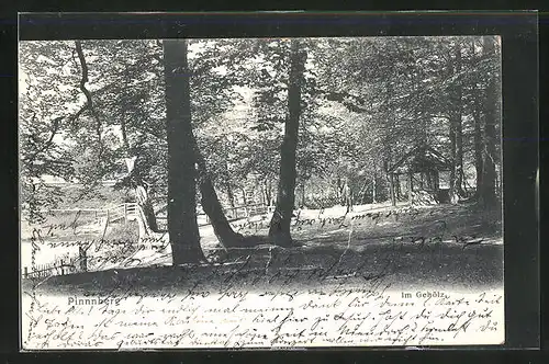 AK Pinneberg, Blick in den Wald