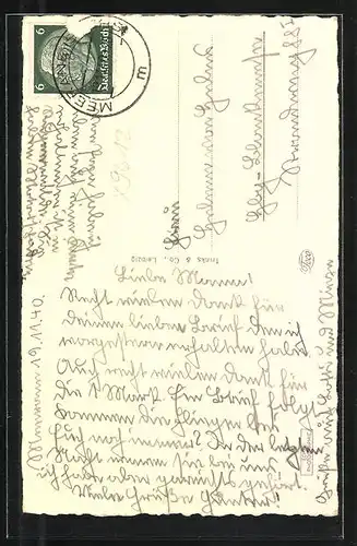 AK Meerane i. Sa., Blick auf die St. Martin Kirche