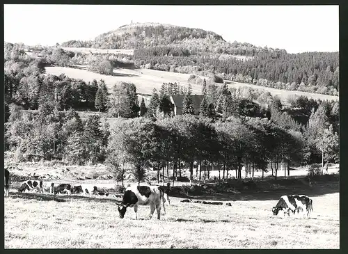 12 Fotografien Ansicht Osterzgebirge, Herausgeber PGH Film & Bild Berlin, Foto Hoffmann, Oelsnitz, Leben im Sozialismus