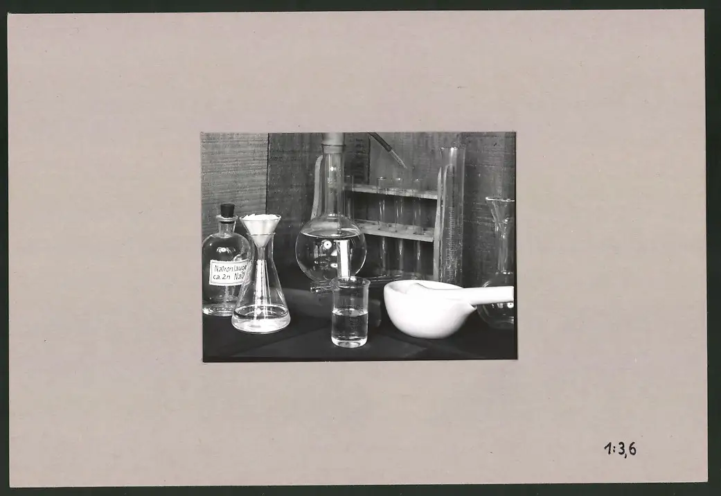 Fotoalbum 28 Privat-Fotografien, Johanna Häcker, Anatomie und Mikrofotografie, Totenkopf, Memento mori 12