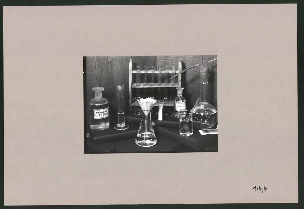 Fotoalbum 28 Privat-Fotografien, Johanna Häcker, Anatomie und Mikrofotografie, Totenkopf, Memento mori 13