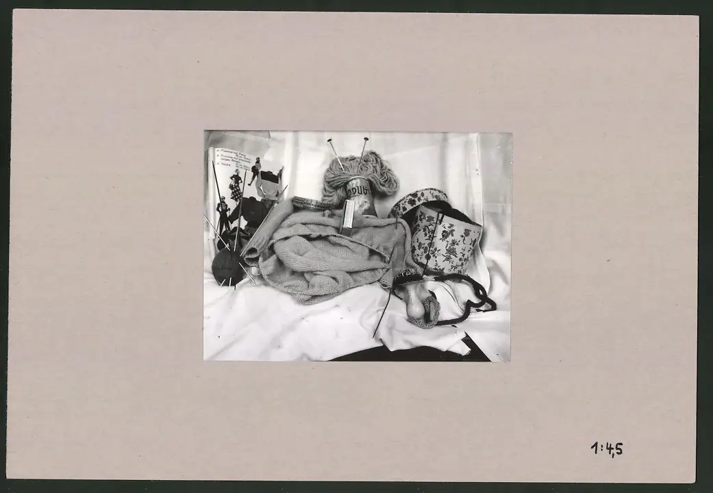 Fotoalbum 28 Privat-Fotografien, Johanna Häcker, Anatomie und Mikrofotografie, Totenkopf, Memento mori 16