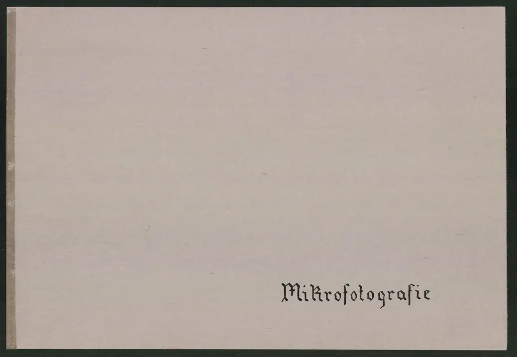 Fotoalbum 28 Privat-Fotografien, Johanna Häcker, Anatomie und Mikrofotografie, Totenkopf, Memento mori 22