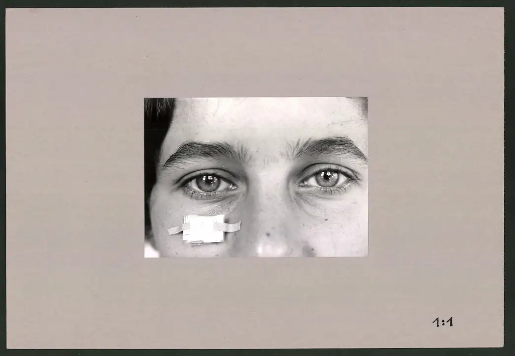Fotoalbum 28 Privat-Fotografien, Johanna Häcker, Anatomie und Mikrofotografie, Totenkopf, Memento mori 6
