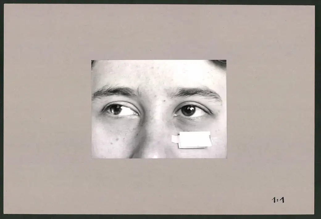 Fotoalbum 28 Privat-Fotografien, Johanna Häcker, Anatomie und Mikrofotografie, Totenkopf, Memento mori 7