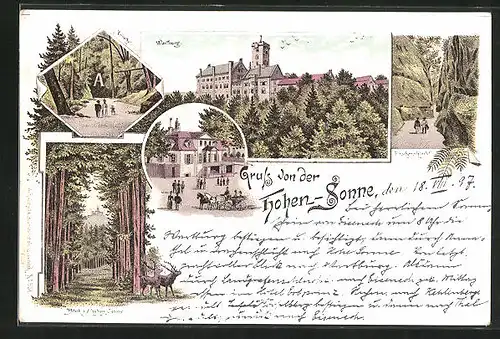 Lithographie Eisenach, Blick von der Hohen Sonne, Wartburg, Drachenschlucht