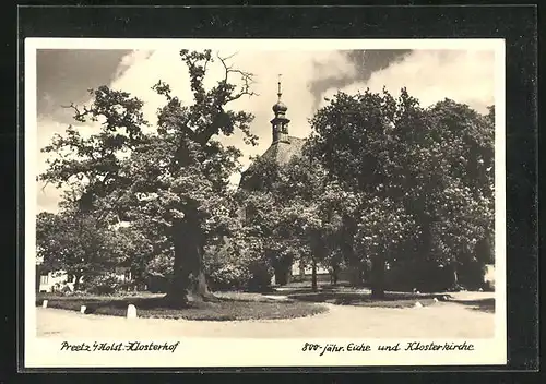 AK Preetz / Holstein, 800-jährige Eiche und Klosterkirche