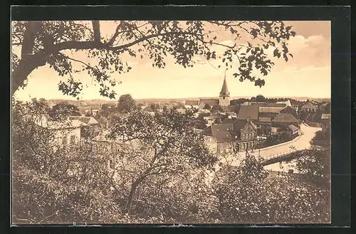 AK Lütjenburg i. Holstein, Blick vom Vogelberg auf den Ort