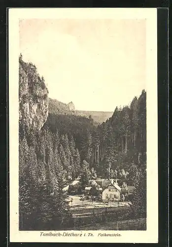 AK Tambach-Dietharz i. Thür., Blick auf den Falkenstein