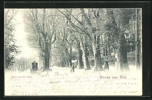 AK Kiel, Spaziergänger in der Düsternbrooker Allee