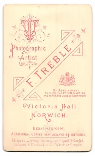 Fotografie F. Treble, Norwich, Victoria Hall, Portrait junger Mann im feinen Anzug mit Henriquatre Bart