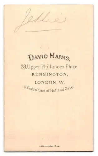 Fotografie David Hains, Kensington, 28 Upper Phillimore Place, Portrait Mann im Tweed Anzug mit Walross Bart