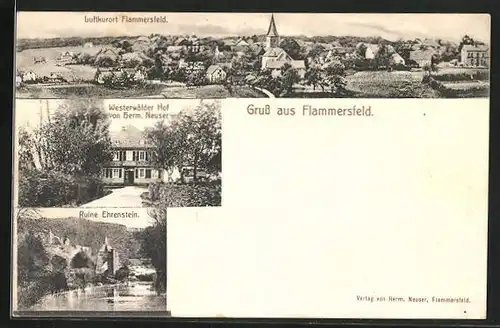 AK Flammersfeld, Gasthaus Westwälder Hof v. Herm. Neuser, Ruine Ehrenstein