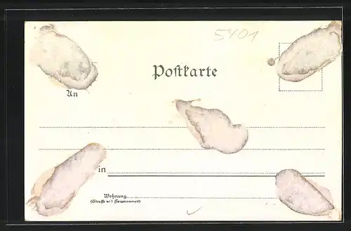Lithographie St. Goar, Ruine Katz, Stadt u. Rheinfels