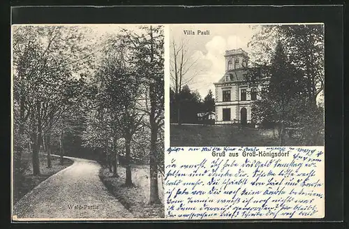 AK Gross-Königsdorf, Villa Pauli, Wald-Partie