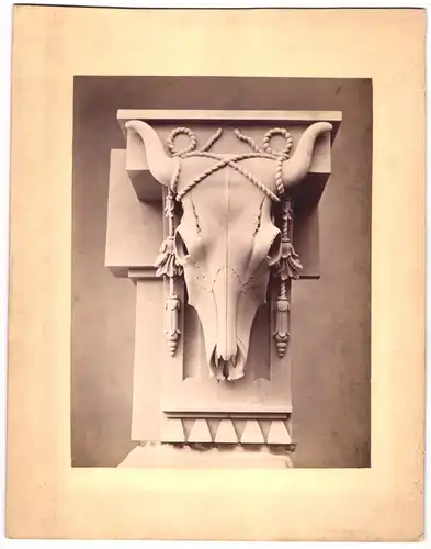 Fotografie Stierschädel als Fassadenschmuck, Memento Mori, Grossformat 20 x 26cm