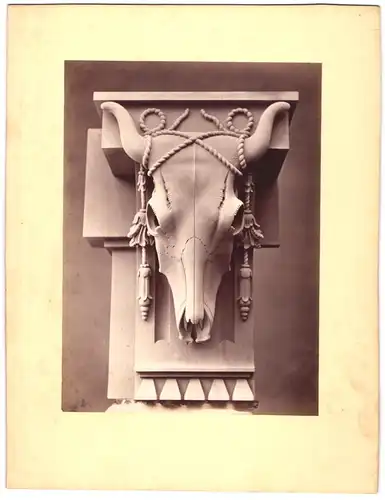 Fotografie Ochsenschädel mit Sims als Fassadenschmuck, Memento Mori, Grossformat 20 x 26cm
