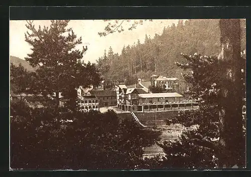 AK Schwarzburg, Nöllers Hotel-Kurhaus Thüringer Hof