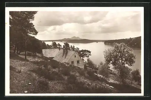 AK Thammühl am See, Ortspartie am Seeufer