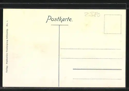 AK Schleswig, Ortsansicht aus der Vogelschau