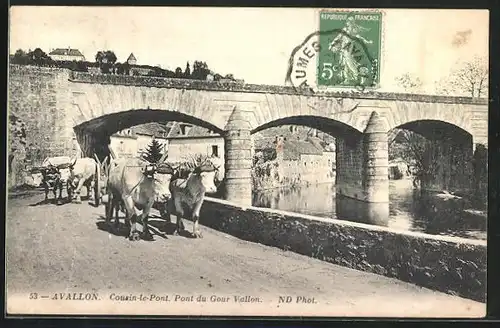 AK Cousin-le-Pont, Le Pont du Gour Vallon