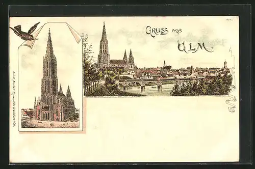 Lithographie Ulm, Panorama mit Münster