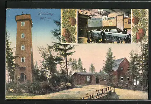 AK Rodewisch, Aussichtsturm Steinberg & Gasthaus