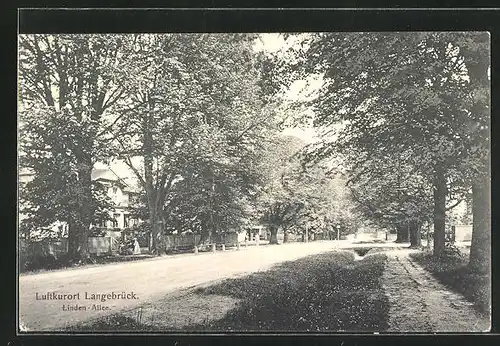 AK Langebrück, Blick in die Linden-Allee