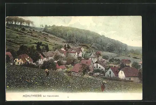 AK Mühlenberg bei Holzminden, Panoramablick von der Feldwiese