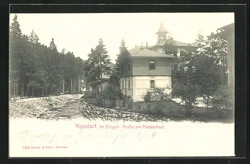 AK Kipsdorf / Erzgeb., Partie am Fürstenhof