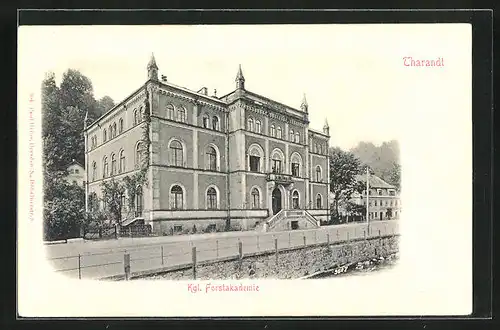 AK Tharandt, Kgl. Forstakademie