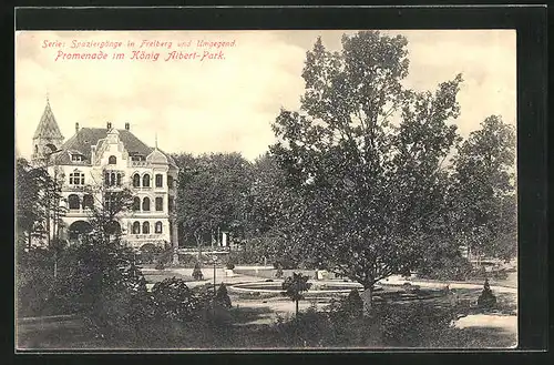 AK Freiberg i. S., Promenade im König Albert Park