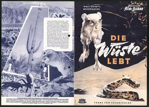 Filmprogramm IFB Nr. 2408, Die Wüste lebt, Walt Disney, Regie: James Algar, Naturdokumentation