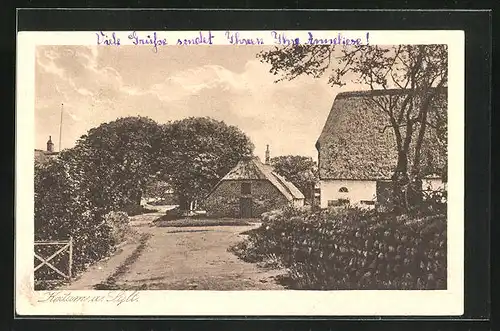 AK Keitum a. Sylt, Strasse im Ort