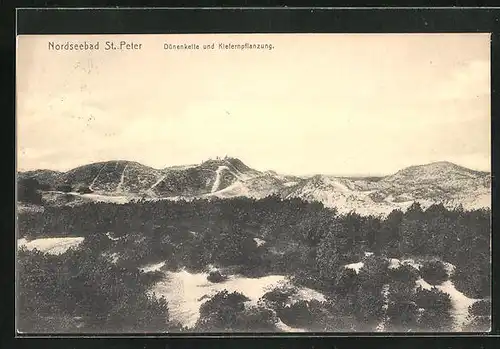 AK St. Peter, Blick auf Dünenkette und Kiefernpflanzung