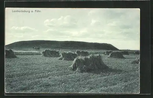 AK Borgsum / Föhr, Ringwallanlage Lembecksburg