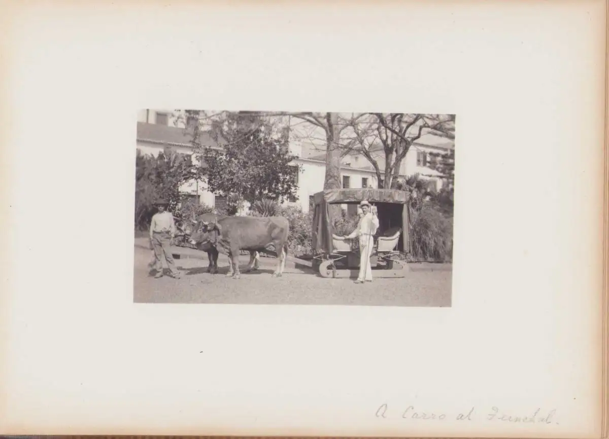 Fotoalbum 39 Heliogravüren Madeira to Verona 1905, Ansicht Madeira, S.S. Kenilworth Castle, Funchal, Bettler, Steinmetz 4