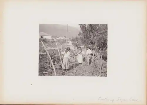 Fotoalbum 39 Heliogravüren Madeira to Verona 1905, Ansicht Madeira, S.S. Kenilworth Castle, Funchal, Bettler, Steinmetz