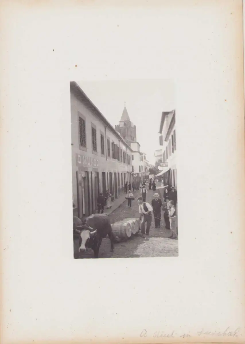 Fotoalbum 39 Heliogravüren Madeira to Verona 1905, Ansicht Madeira, S.S. Kenilworth Castle, Funchal, Bettler, Steinmetz 6