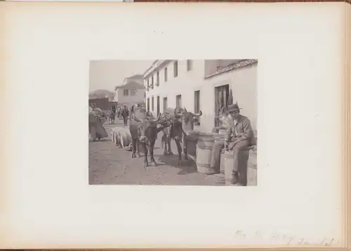 Fotoalbum 39 Heliogravüren Madeira to Verona 1905, Ansicht Madeira, S.S. Kenilworth Castle, Funchal, Bettler, Steinmetz