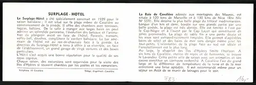 Klapp-AK Cavaliere, Hotel Surplage, Cote d`Azur, La Plage vue des Chambres