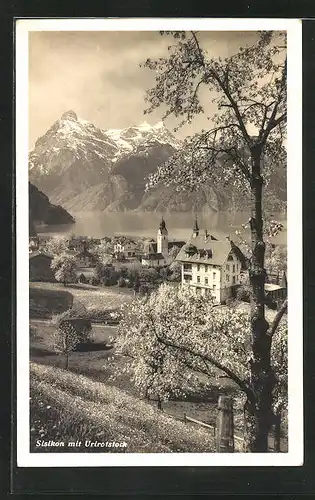 AK Sisikon, Panoramablick mit Urirotstock
