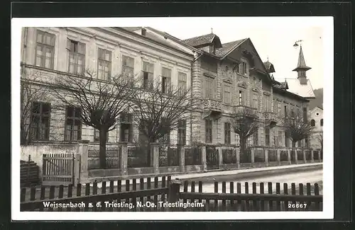 AK Weissenbach a. d. Triesting, Strassenpartie mit Blick auf Wohnhäuser