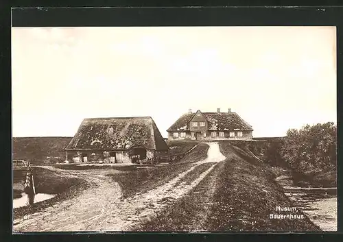 AK Husum, Blick auf Bauernhäuser